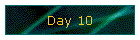 Day 10