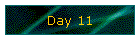 Day 11