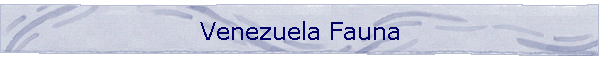 Venezuela Fauna