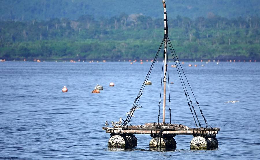 Pearl-farm floats approaching Dumaran Pass