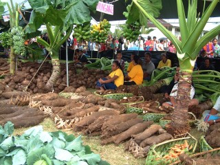 A sampling of Tongan produce at the agricultural fair
