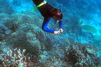 Amanda and Sue spent hours snorkeling