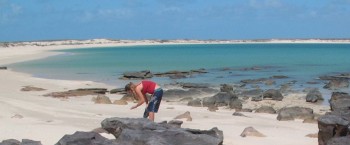 Amanda shelling at 2-Island Bay in the Wessels