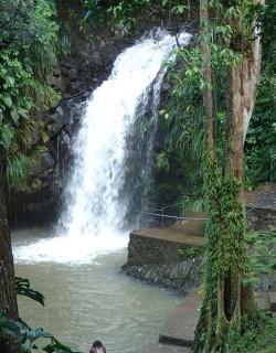 Anandale Falls, Grenada. Murky from the rains, but gorgeous.