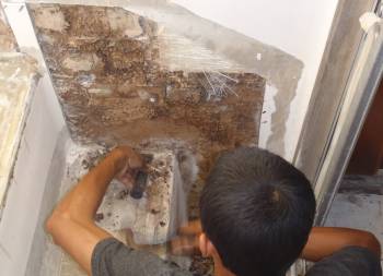 Max digging out bug-eaten balsa by our entryway