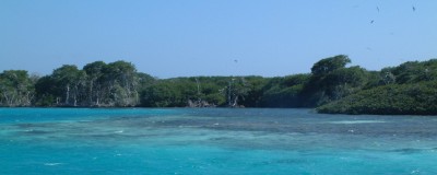 The magnificent reef and birds of Aves de Barlovento