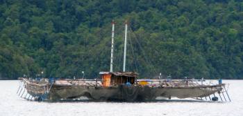 A Triton Bay Bagan - a movable fishing platform