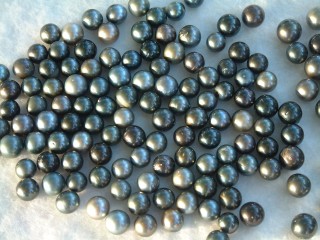 A bevy of black pearls each worth about $20 to $50