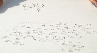 Hand-drawn profile of the Bushy east dive site