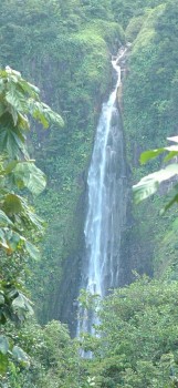 The Chute de Carbet