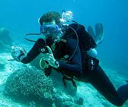 Chris checks his gauges diving in Raja Ampat.