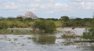 Elephant Rock & wetlands in Yala National Park