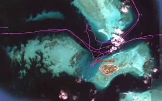 Derawan anchorage and approaches