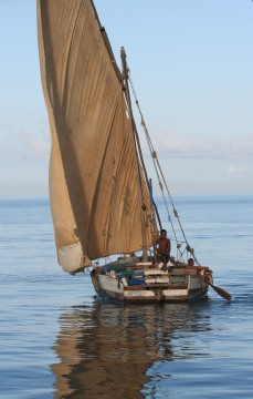 Small dhow off the coast