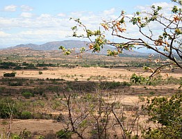 Arid high plains of Madagascar