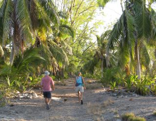 Exploring the old copra track on Farquhar Atoll