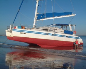 Ocelot careened on the beach in Darwin