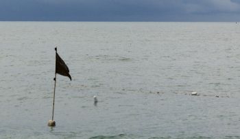 Fishing flags are ubiquitous on the Malay coast