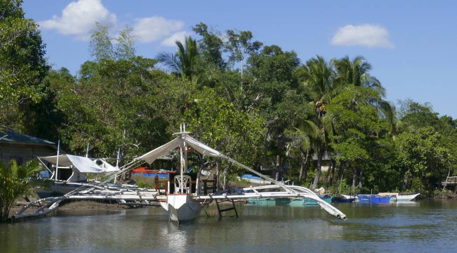 Some pretty wild fishing boats
