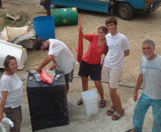 Cleaning a deep sea fish, with friends from TicoTico