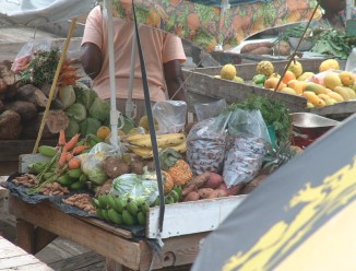 Mangos, carrots, pineapple, cassava root, bananas, you name it