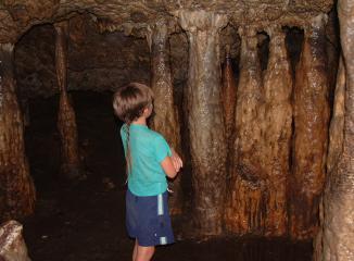 Daniel inspects some stalactites in Guacharo Caves
