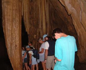 Checking out the crabs that live in the caves...