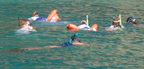 Snorkeling in fish soup - 1,000s of fish