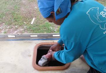 Houa grinding under the hatch openings, for the coming glass