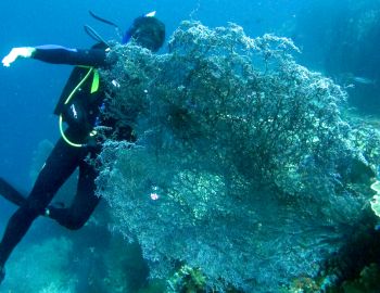 Jon behind a huge sea fan, Pinnacle Dive, Triton Bay