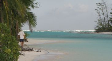 Exploring between motus at Farquhar Atoll