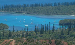 Ocelot (lower, center) in Kanumera Bay, Iles de Pins