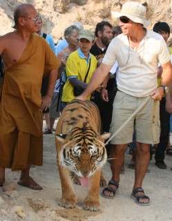 Jon walks a tiger out of the canyon, while laughing with the monk.