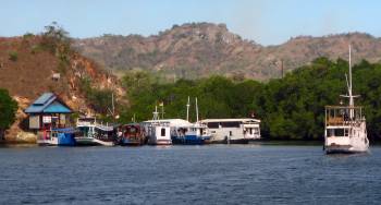 National Park HQ dock gets busy with tour boats