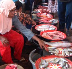 Fresh fish market in eastern Indonesia
