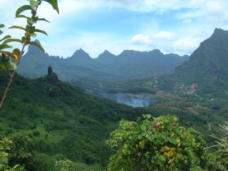 A view from the ridge overlooking the Opunohu Valley