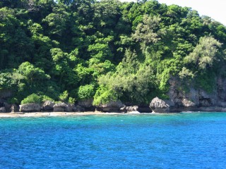 Mushrooms divesite, named for the undercut limestone on the coast