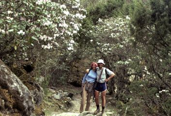 Hiking under rhododendron forest in 1980