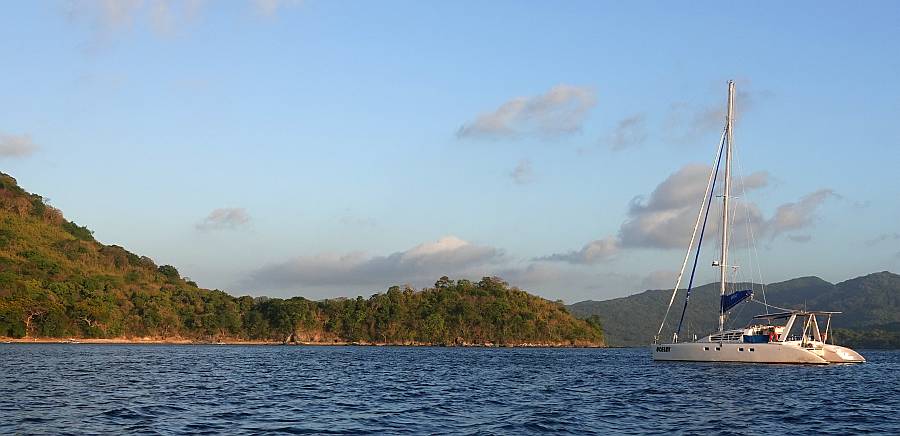 Ocelot at NW Bay, Linapacan Island