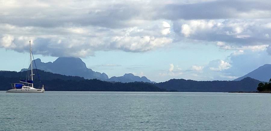Ocelot in Jibboom Bay, looking SW