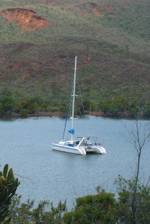 Ocelot in tranquil Port de Carenage, Prony Bay