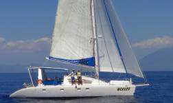 Ocelot Under Sail in Southern Indonesia