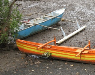 Outrigger fishing boats, low tide, Mayotte