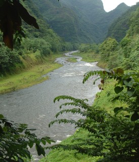 The Papenoo River road provides access to Tahiti's interior.