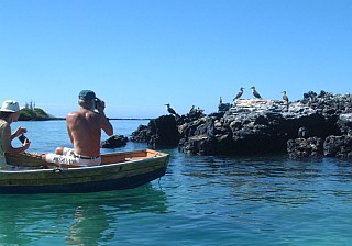 Boobies nest by the anchorage, Isabela