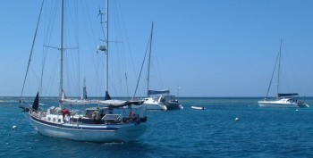 Peregrinata, Safari, and Scud, at Amedee Light