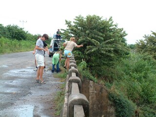 Fishing from the bridge