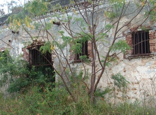 Prison ruins from the 1800's tell of the horrors of the penal colony