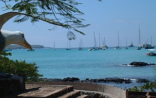 The anchorage at Puerto Ayora, Santa Cruz Is.