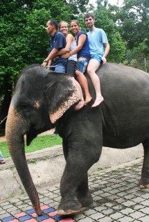 Hi Ho away they go elephant riding